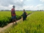 featured-image-2500