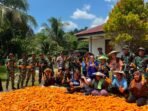 Kebersamaan TNI dan Warga, Yonif 921/Alang Impang Terjun Bantu Panen Jagung