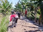 Perkuatan Jalan Desa, Harapan Baru bagi Warga Bandar Raya