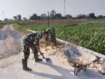 Solidaritas Satgas TMMD Kodim 0813/Bojonegoro dalam Penimbunan Jalan Kedung Pandan
