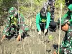 Cegah Abrasi di Sikka, Personel TNI Kompak Tanam Mangrove di Pesisir Reroroja
