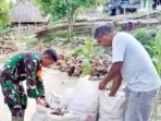 Tingkatkan Ekonomi Lokal, Babinsa Serma Rui Vicente Turun Tangan Bantu Petani Kopra di Malaka Tingkatkan Ekonomi Lokal, Babinsa Serma Rui Vicente Turun Tangan Bantu Petani Kopra di Malaka