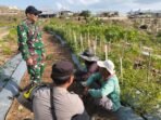 Antisipasi Kebakaran Lahan di Nusa Penida, Babinsa Desa Bunga Mekar Temui Petani Tomat