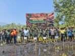 Rayakan HUT TNI ke-81, Kodim 1508/Tobelo Gelar Aksi Tanam Mangrove di Pantai Wauo