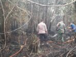 Sinergi Tim Gabungan Padamkan Karhutla di Kawasan Plasma PT MML Lamandau