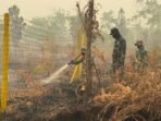 Kodim 1016/Plk Gencar Laksanakan Pembasahan di Lokasi Karhutla Kodim 1016/Plk Gencar Laksanakan Pembasahan di Lokasi Karhutla