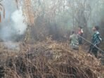 Peran Aktif Kodim 1016/Plk Dalam Penanggulangan Kebakaran Hutan