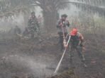 Pimpinan TNI Lakukan Inspeksi dan Pemadaman Kebakaran Hutan di Mentaya Seberang