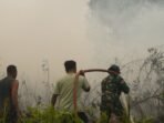 Upaya Tim Gabungan untuk Memadamkan Kebakaran Hutan di Kotim