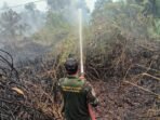Kolaborasi TNI-Polri dan BPBD Memadamkan Kebakaran Hutan di Sei Kayu
