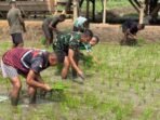 Langkah Konkret Prajurit YTP 859/RBK dalam Ketahanan Pangan